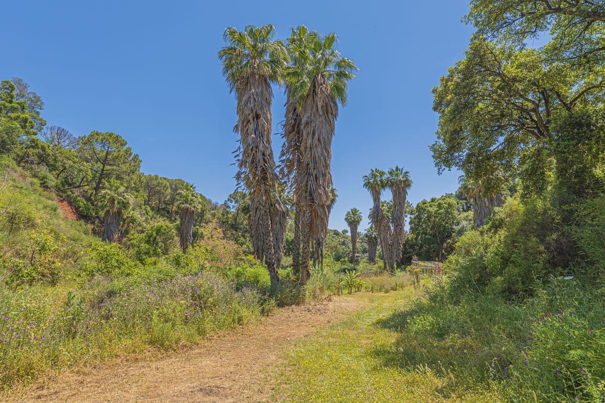 Ubebygd land til salgs i Estepona - € 3 500 000 (Ref: 9038160)