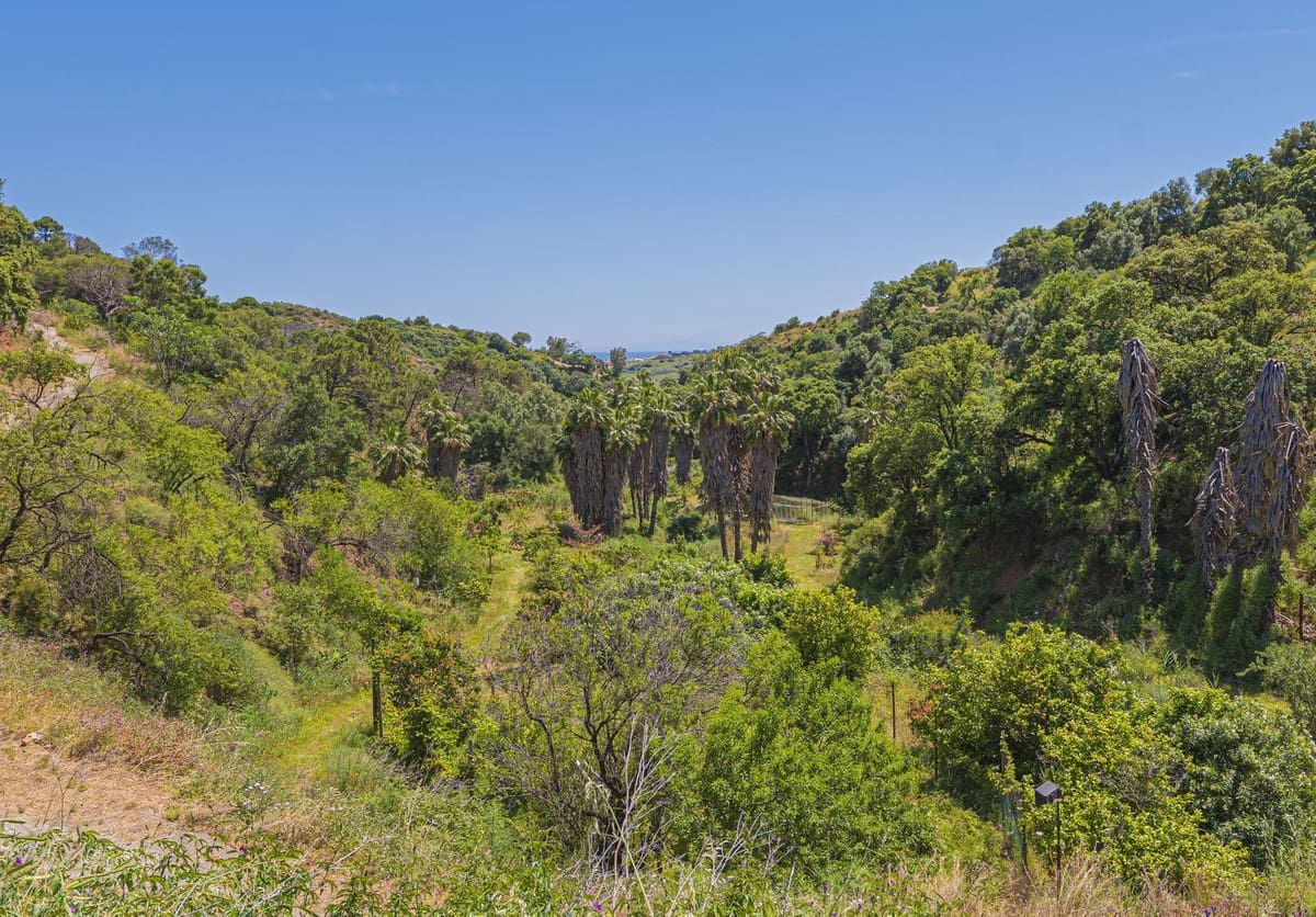 Ubebygd land til salgs i Estepona - € 3 500 000 (Ref: 9038160)