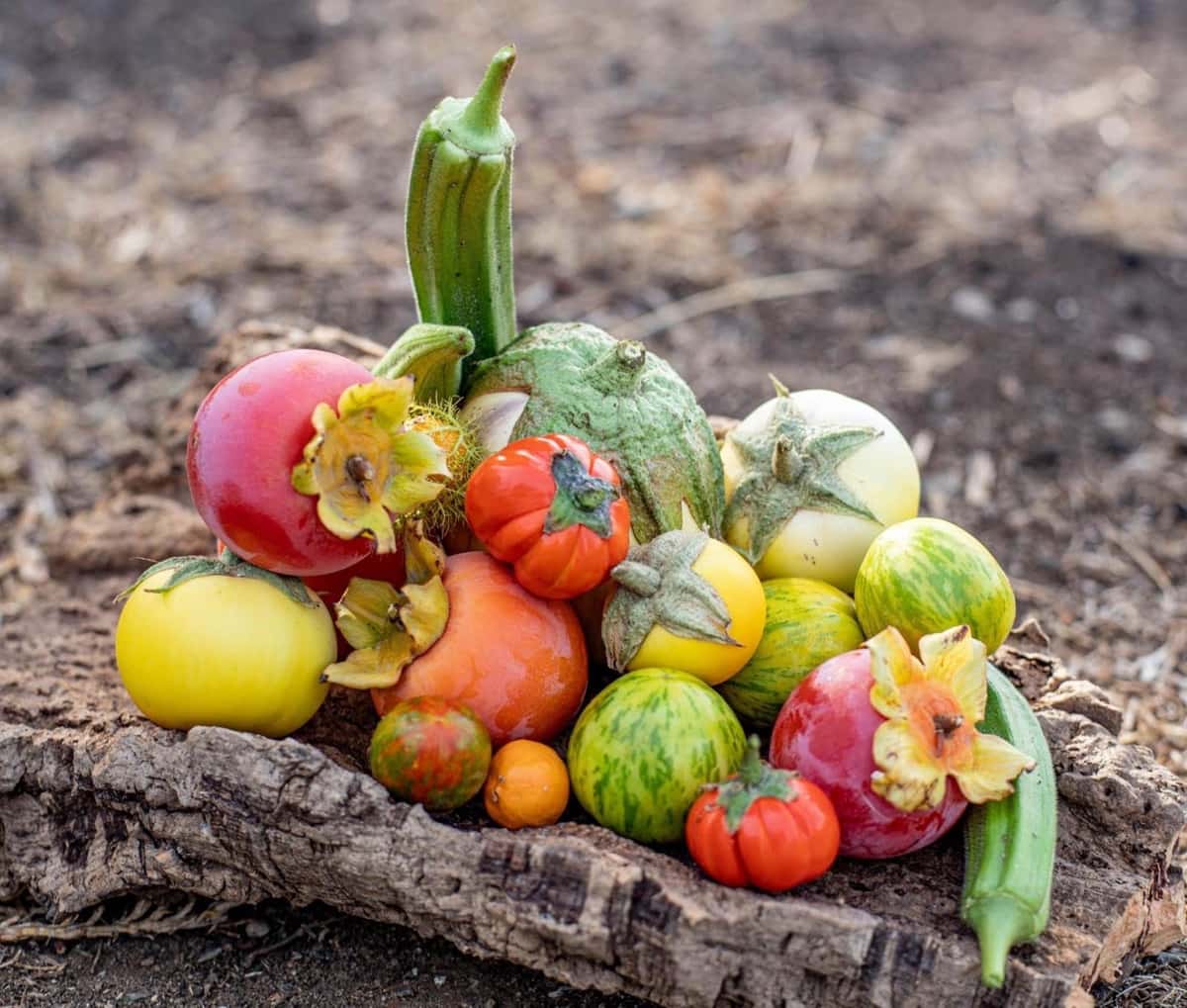 Ubebygd land til salgs i Estepona - € 3 500 000 (Ref: 9038160)