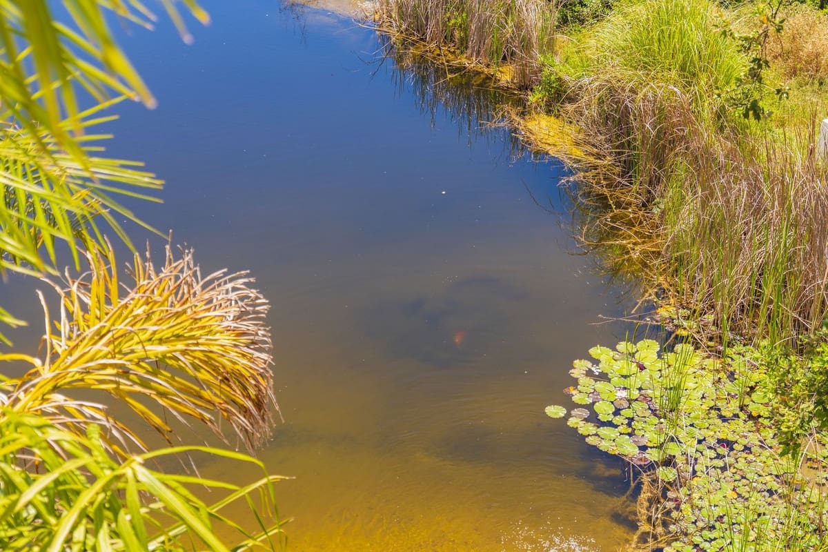 Ubebygd land til salgs i Estepona - € 3 500 000 (Ref: 9038160)