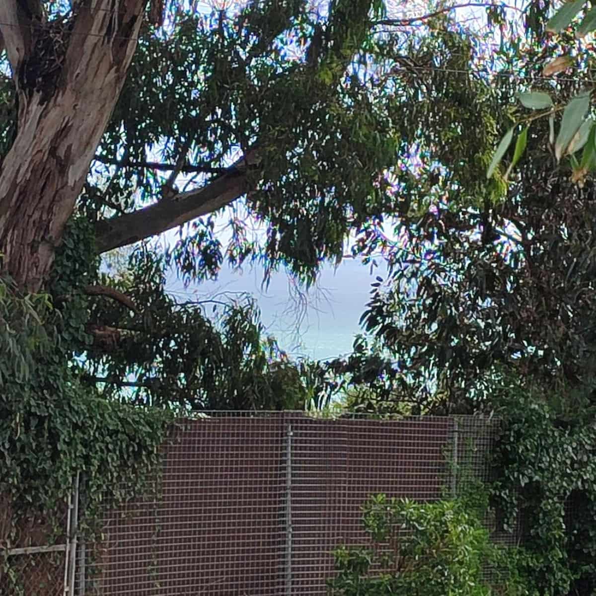 Ubebygd land til salgs i Manilva - € 750 000 (Ref: 9153739)