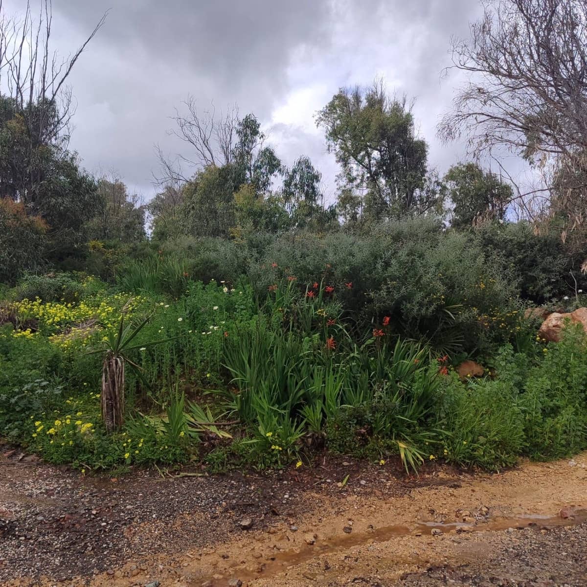 Ubebygd land til salgs i Manilva - € 750 000 (Ref: 9153739)