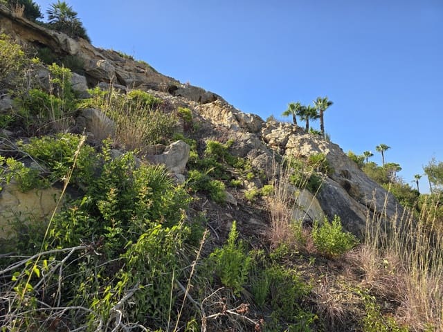 Undeveloped Land for sale in Manilva Pueblo, Manilva - € 740,340 (Ref: 9159302)