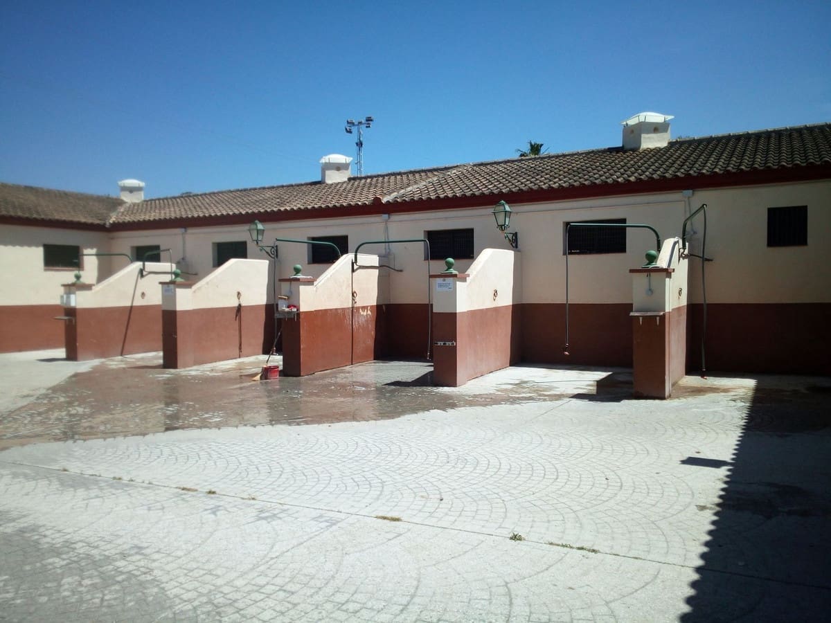 Finca/Landehus til salg i Estepona med swimmingpool - € 11.000.000 (Ref: 9163563)