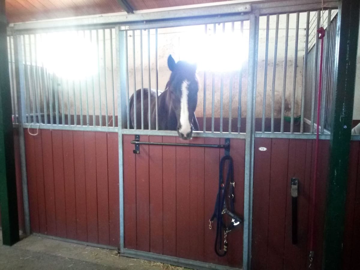 Finca/Landehus til salg i Estepona med swimmingpool - € 11.000.000 (Ref: 9163563)