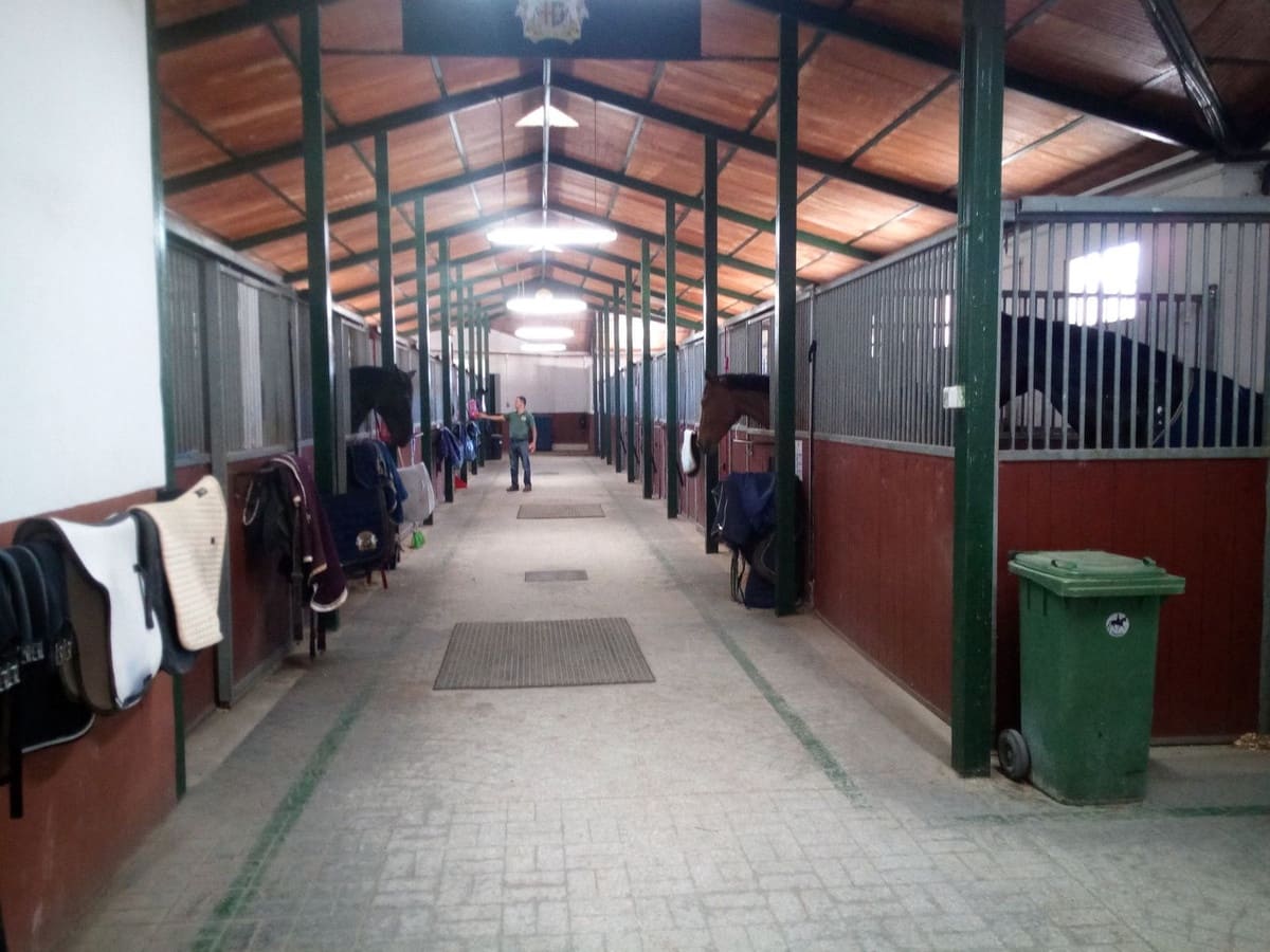 Finca/Landehus til salg i Estepona med swimmingpool - € 11.000.000 (Ref: 9163563)