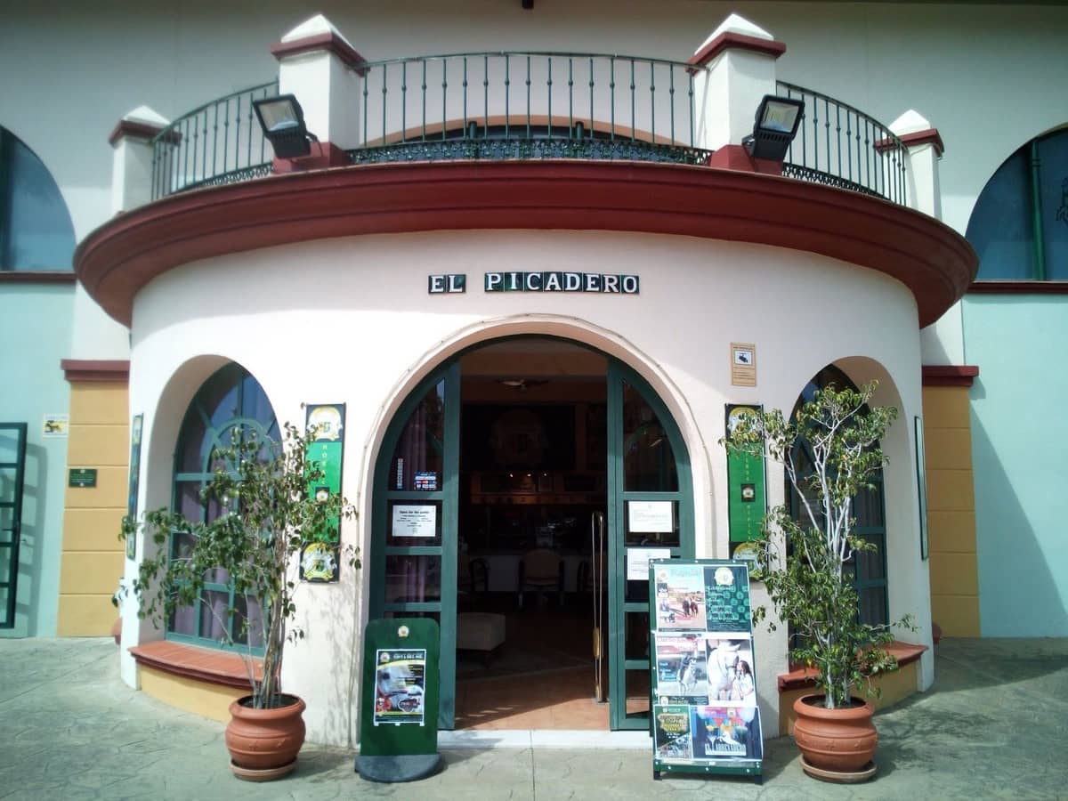 Finca/Landehus til salg i Estepona med swimmingpool - € 11.000.000 (Ref: 9163563)