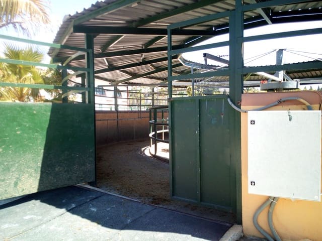 Finca/Maison de Campagne à vendre à Centro, Estepona avec piscine - 11 000 000 € (Ref: 9163563)