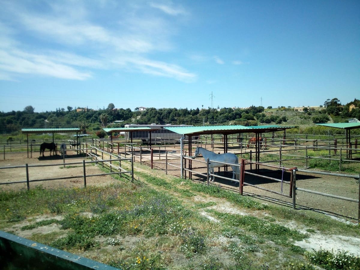 Finca/Landehus til salg i Estepona med swimmingpool - € 11.000.000 (Ref: 9163563)