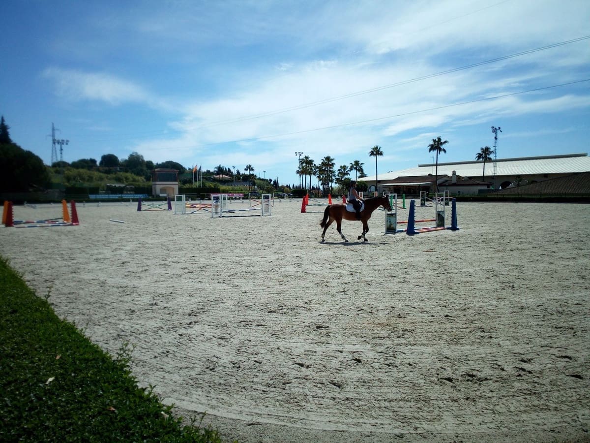 Finca/Landehus til salg i Estepona med swimmingpool - € 11.000.000 (Ref: 9163563)