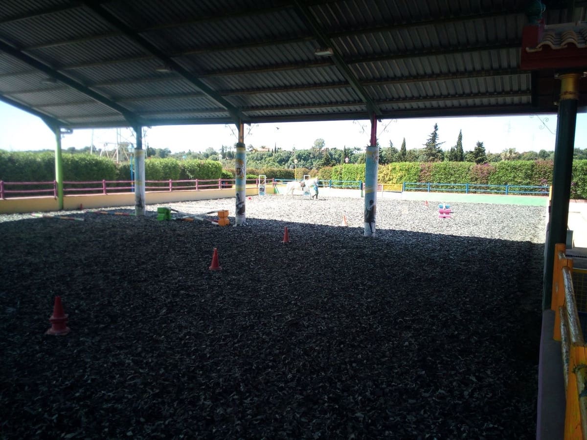 Finca/Landehus til salg i Estepona med swimmingpool - € 11.000.000 (Ref: 9163563)