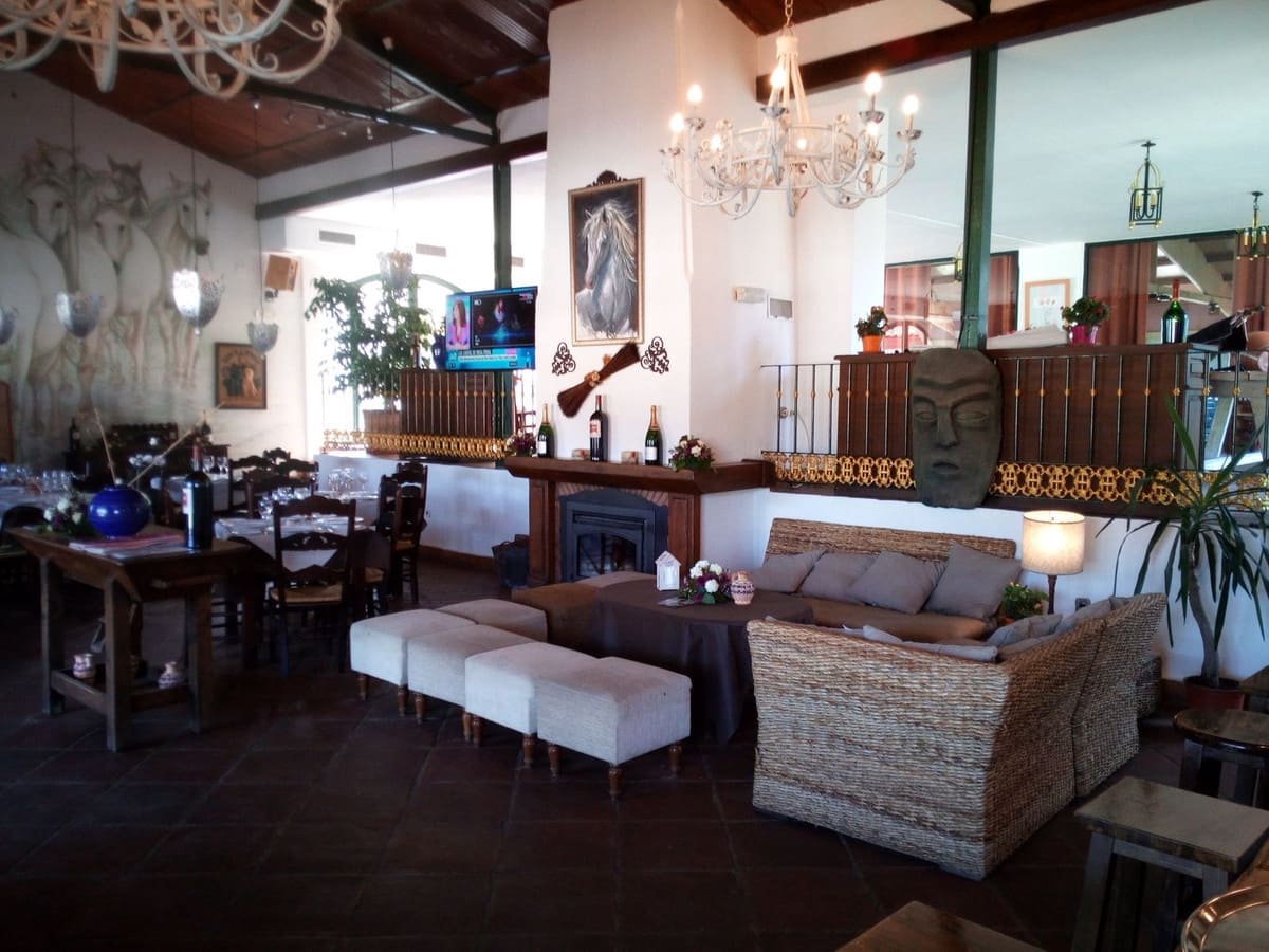 Finca/Landehus til salg i Estepona med swimmingpool - € 11.000.000 (Ref: 9163563)