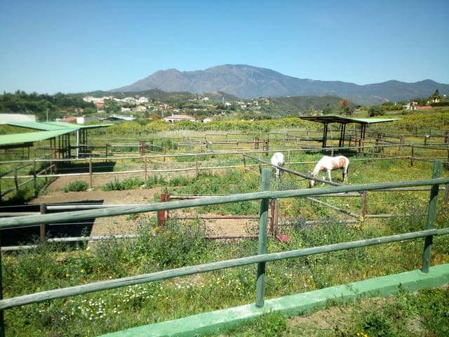 Finca/Maison de Campagne à vendre à Centro, Estepona avec piscine - 11 000 000 € (Ref: 9163563)