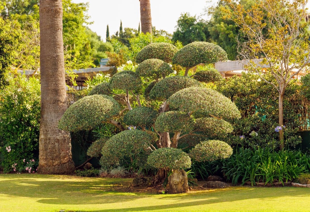 3 soverom Villa til salgs i Sotogrande med svømmebasseng garasje - € 2 580 000 (Ref: 9171210)