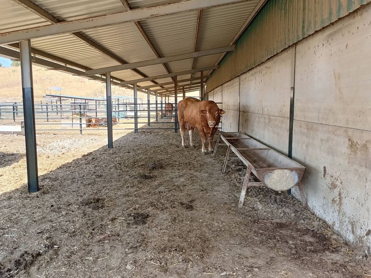 Finca/Country House for sale in Gaucin - € 7,455,000 (Ref: 9257002)