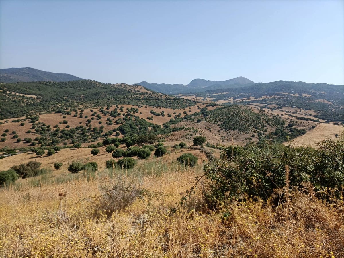 Finca/Country House for sale in Gaucin - € 7,455,000 (Ref: 9257002)