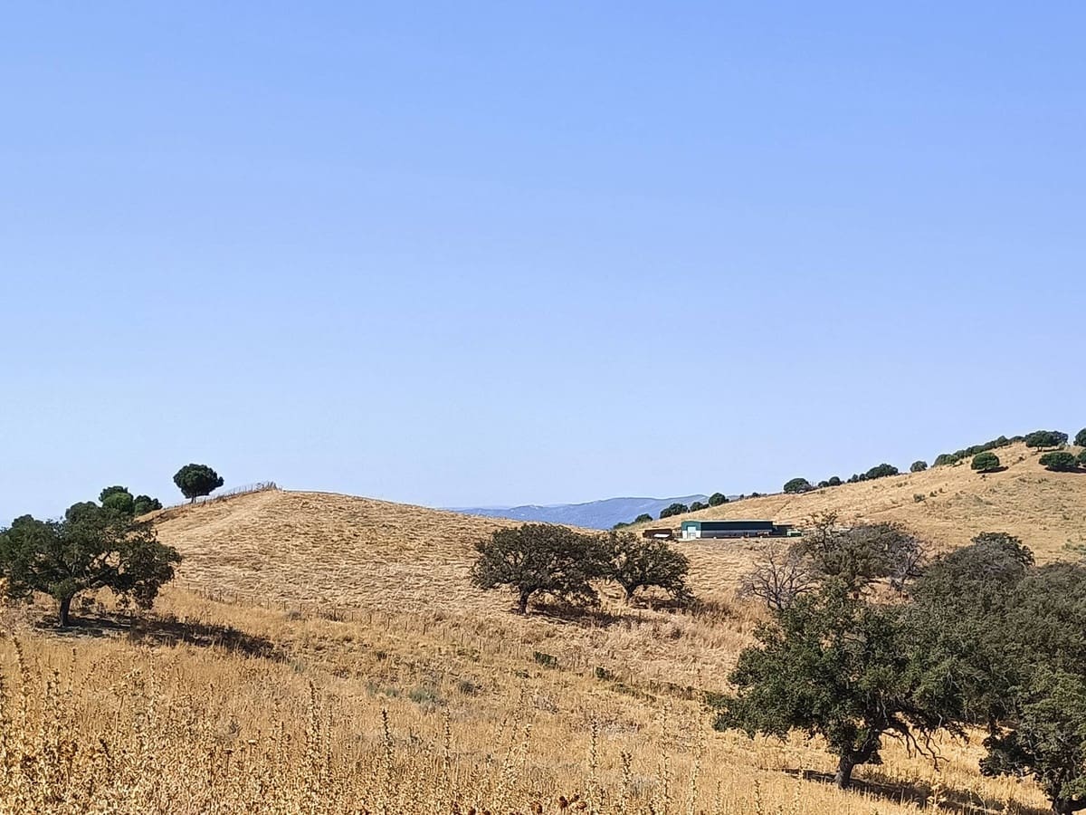 Finca/Country House for sale in Gaucin - € 7,455,000 (Ref: 9257002)