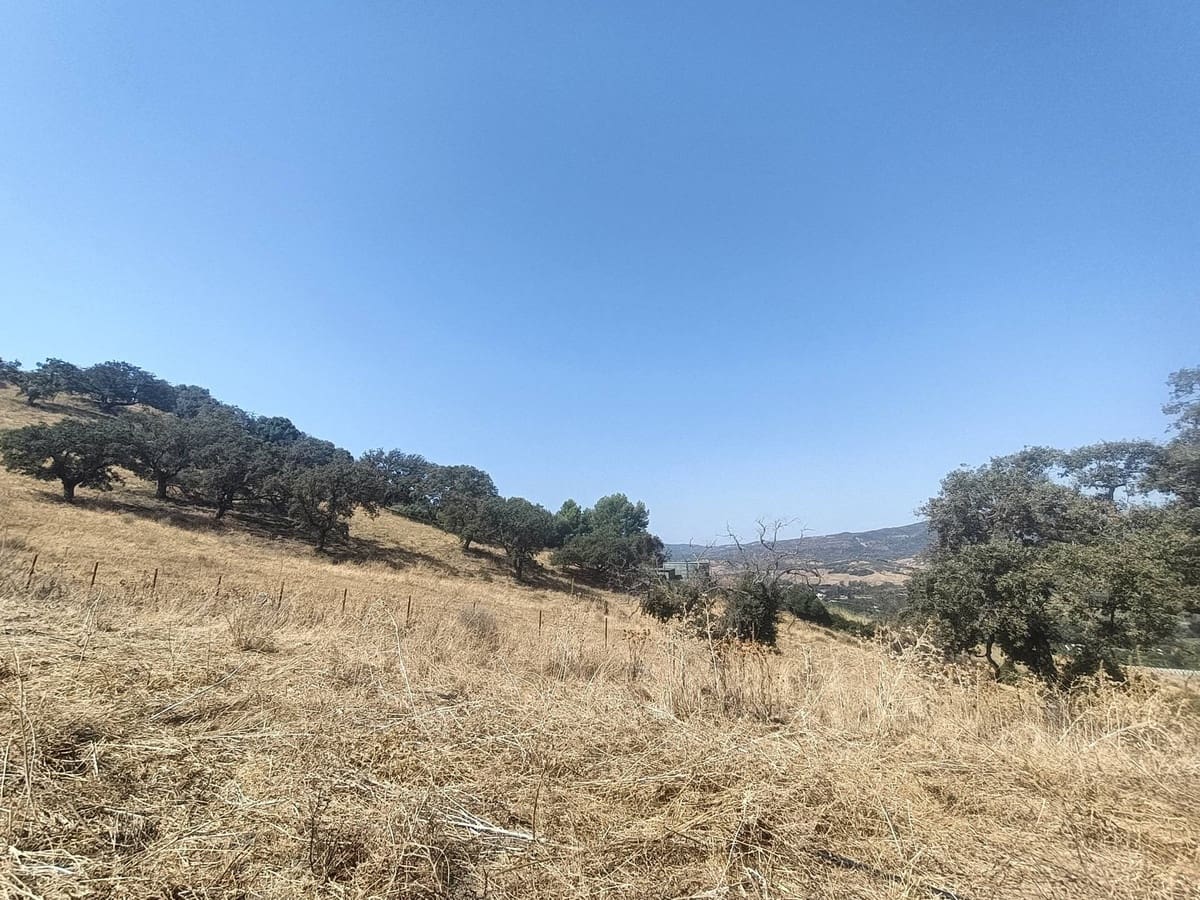 Finca/Country House for sale in Gaucin - € 7,455,000 (Ref: 9257002)