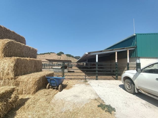 Finca/Landehus til salg i Gaucín - € 7.455.000 (Ref: 9257002)