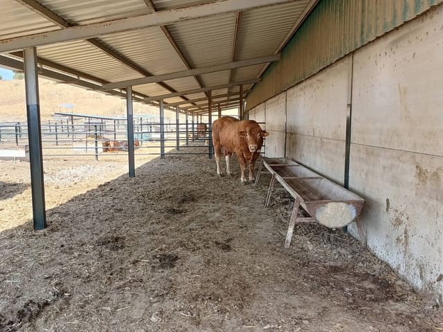 Finca/Landehus til salg i Gaucín - € 7.455.000 (Ref: 9257002)