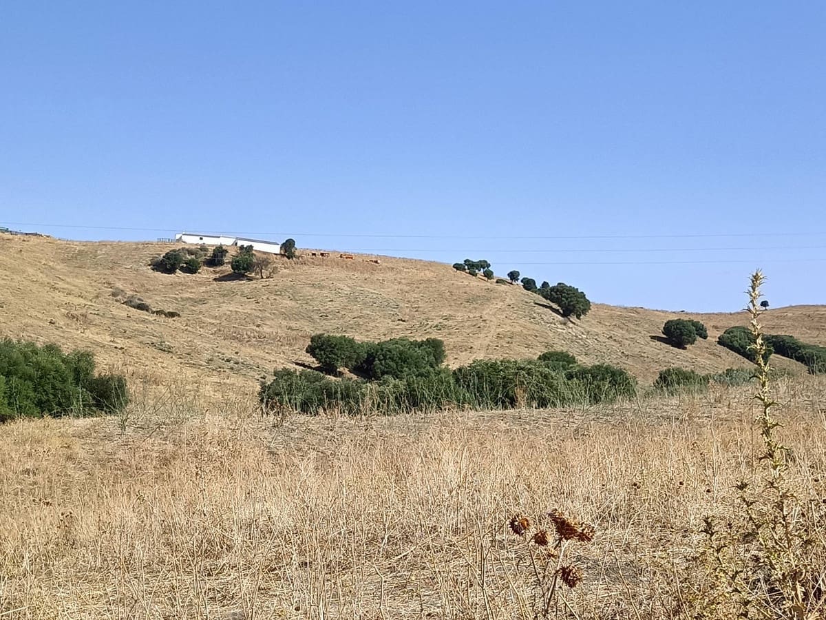 Finca/Country House for sale in Gaucin - € 7,455,000 (Ref: 9257002)