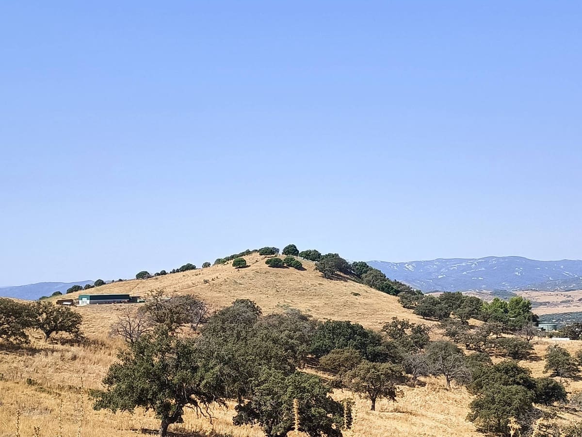 Finca/Country House for sale in Gaucin - € 7,455,000 (Ref: 9257002)