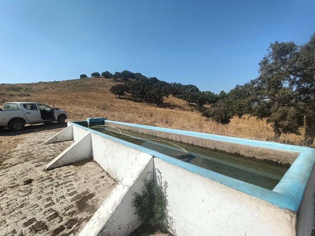 Finca/Country House for sale in Gaucin - € 7,455,000 (Ref: 9257002)