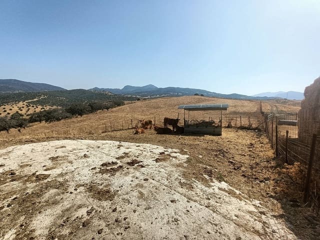 Finca/Landehus til salg i Gaucín - € 7.455.000 (Ref: 9257002)