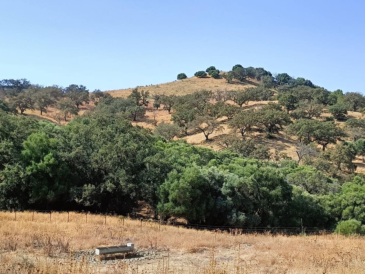 Finca/Country House for sale in Gaucin - € 7,455,000 (Ref: 9257002)