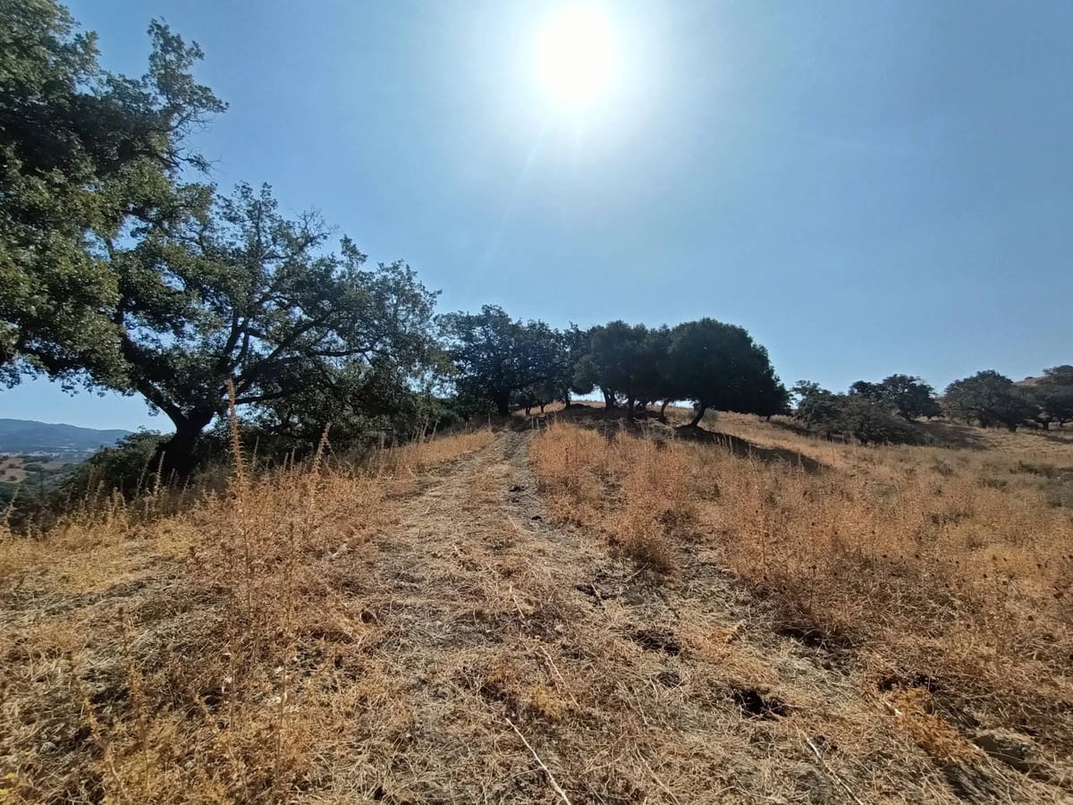 Finca/Country House for sale in Gaucin - € 7,455,000 (Ref: 9257002)