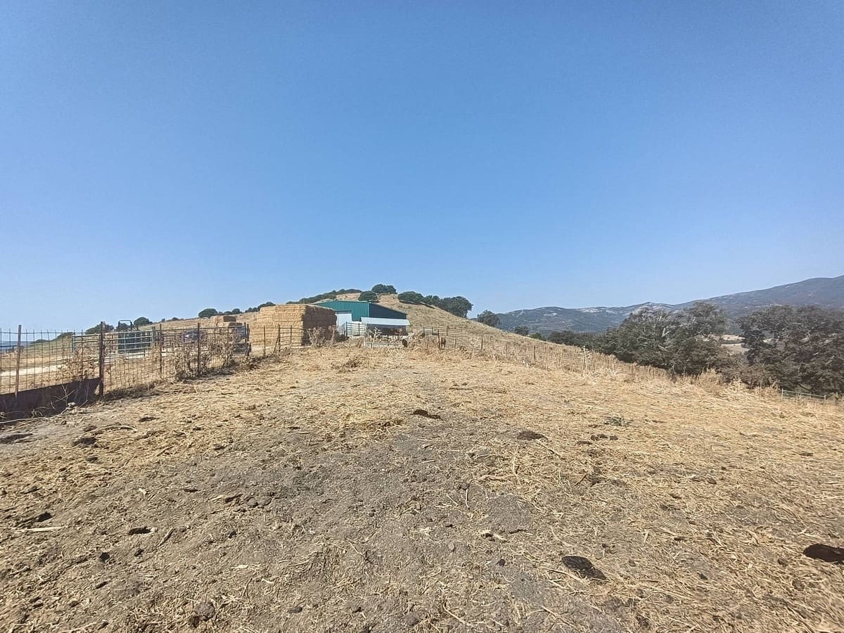 Finca/Country House for sale in Gaucin - € 7,455,000 (Ref: 9257002)