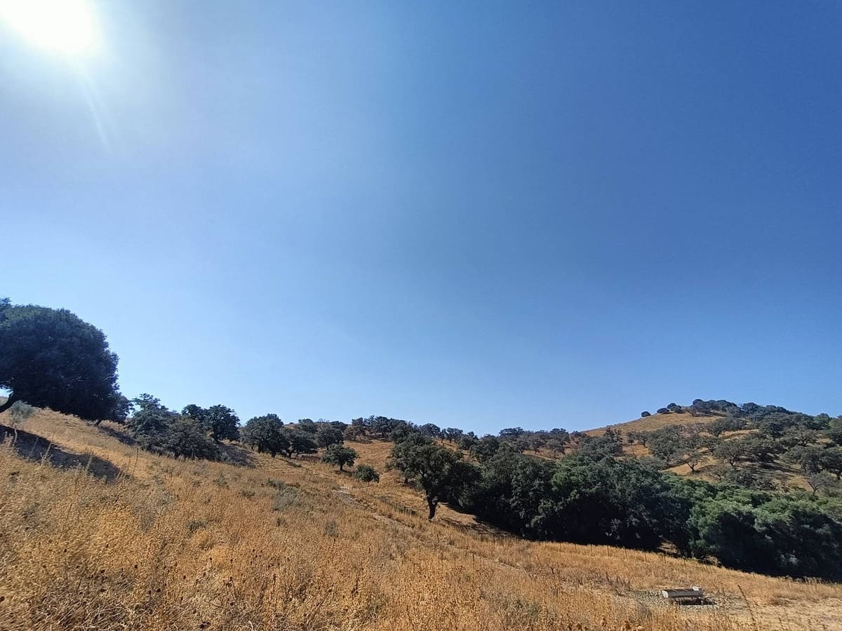 Finca/Country House for sale in Gaucin - € 7,455,000 (Ref: 9257002)