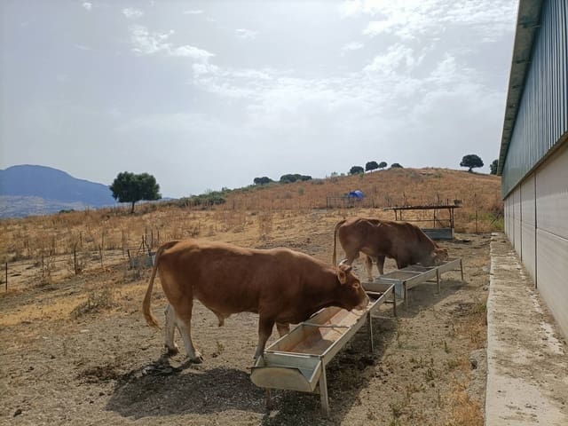 Finca/Landehus til salg i Gaucín - € 3.045.000 (Ref: 9257003)