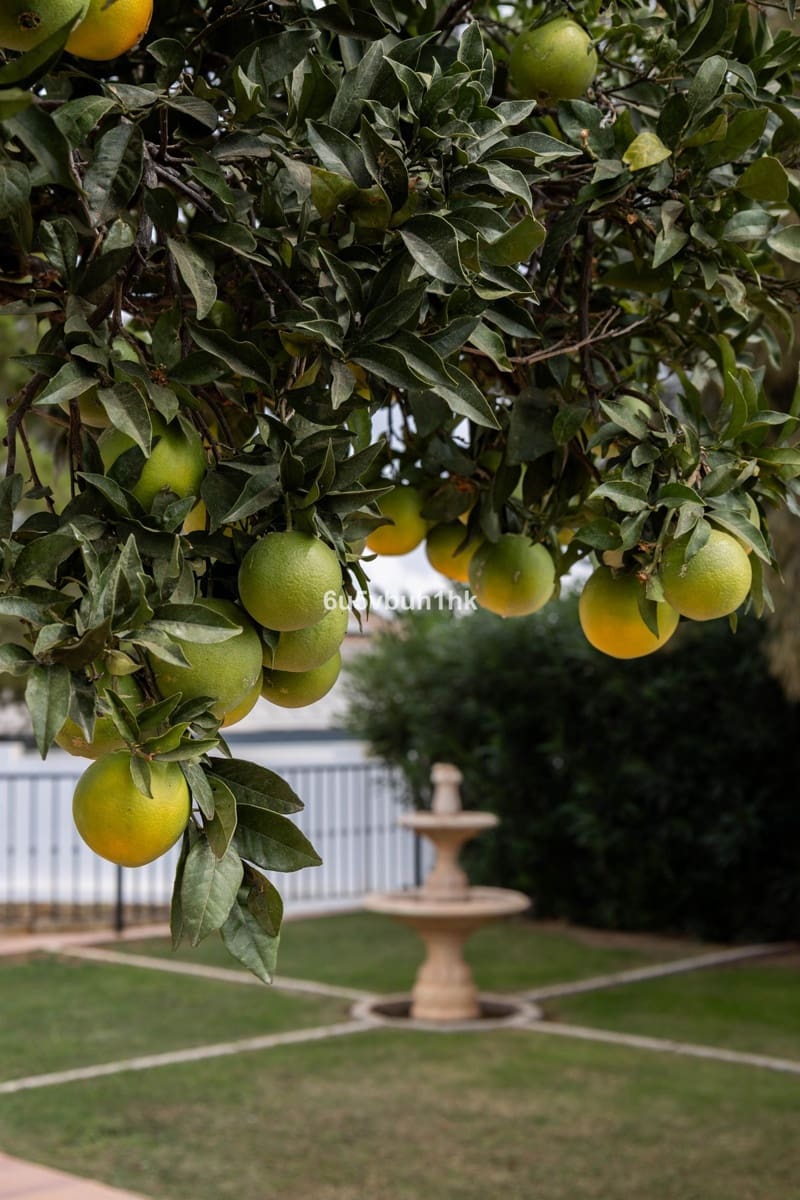 6 soveværelse Villa til salg i Marbella med swimmingpool - € 3.995.950 (Ref: 9287634)