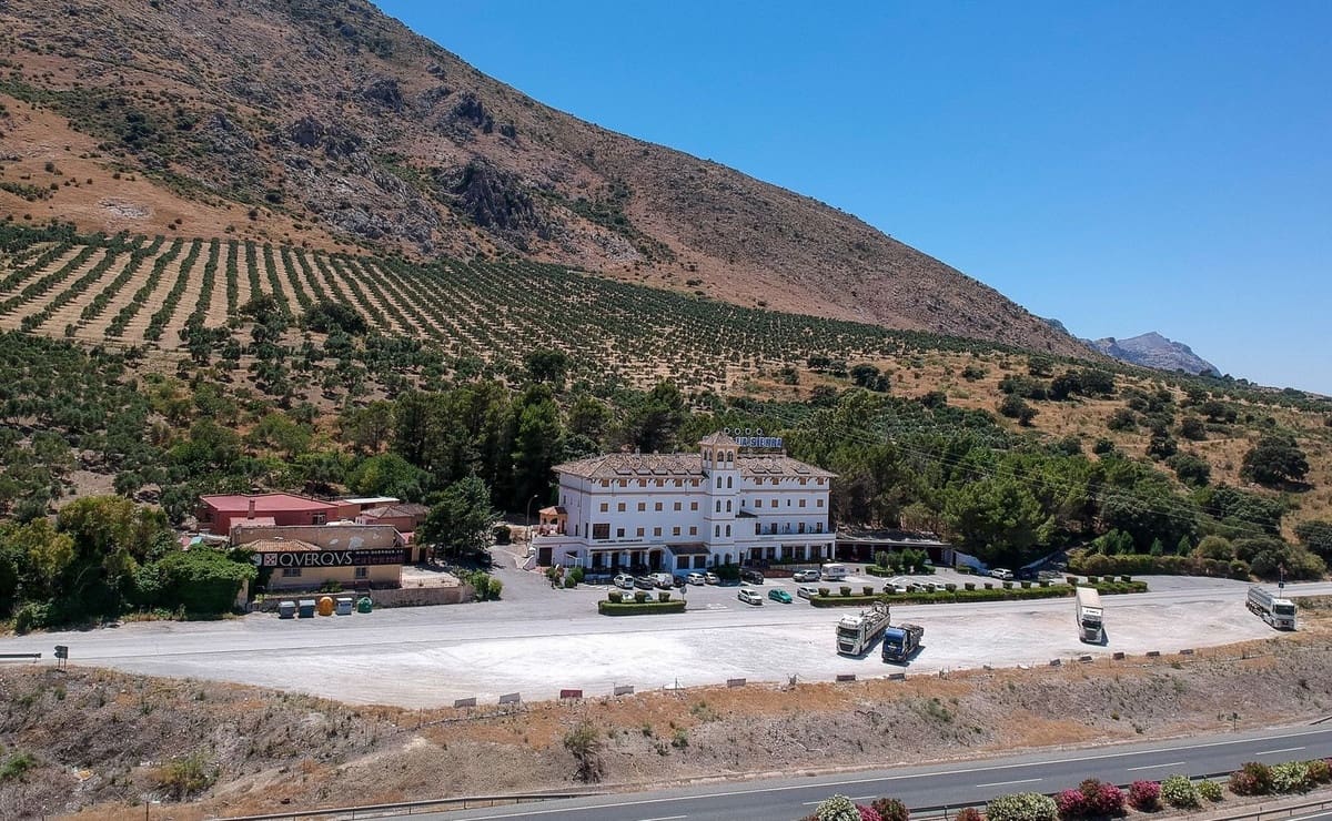 63 slaapkamer Hotel te koop in Antequera met garage - € 3.500.000 (Ref: 9344485)
