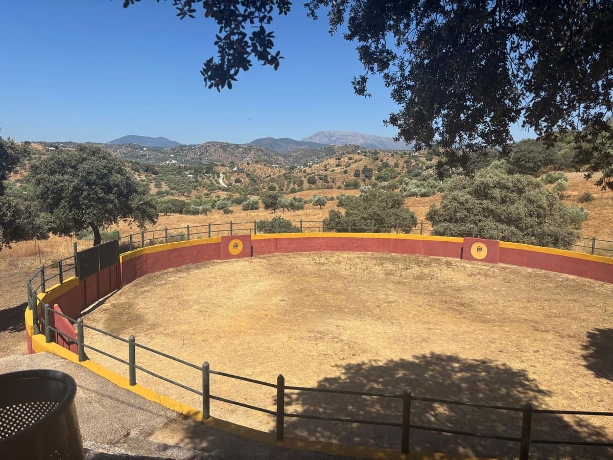 10 soverom Finca/Herregård til salgs i Monda - € 4 500 000 (Ref: 9344486)