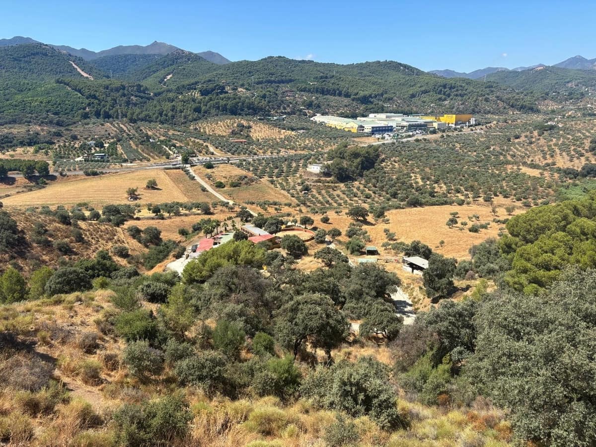 10 soverom Finca/Herregård til salgs i Monda - € 4 500 000 (Ref: 9344486)