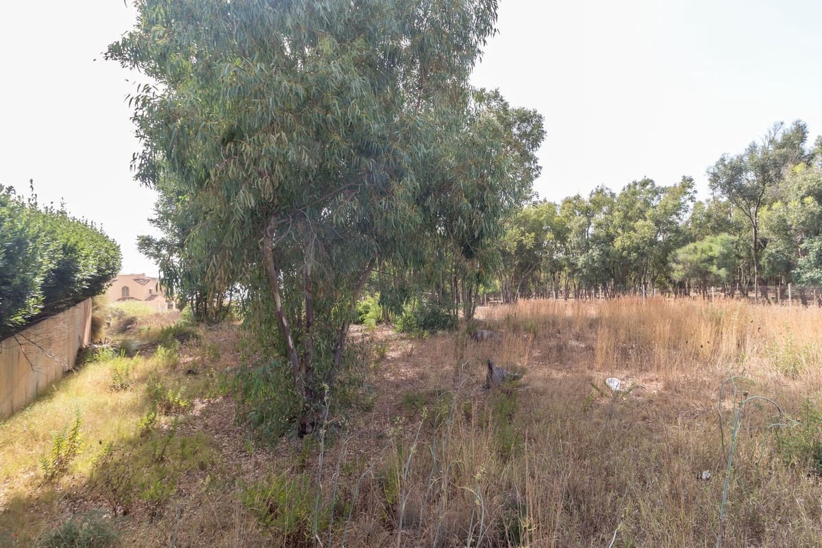 Ubebygd land til salgs i Manilva - € 450 000 (Ref: 9344505)