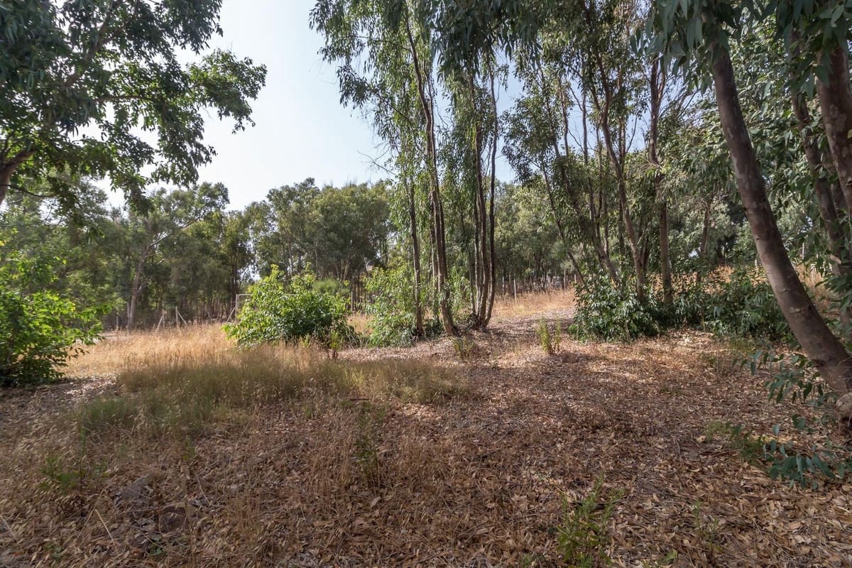 Ubebygd land til salgs i Manilva - € 450 000 (Ref: 9344505)