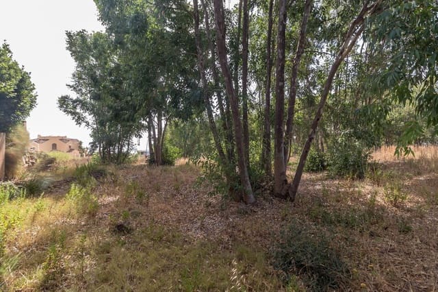 Undeveloped Land for sale in Manilva Pueblo, Manilva - € 450,000 (Ref: 9344505)
