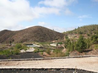 2 soveværelse Finca/Landehus til salg i Cruz de Tea - € 450.000 (Ref: 1890283)