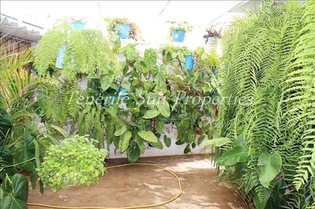 4 slaapkamer Finca/Landhuis te koop in Tacoronte met garage - € 350.000 (Ref: 2775817)