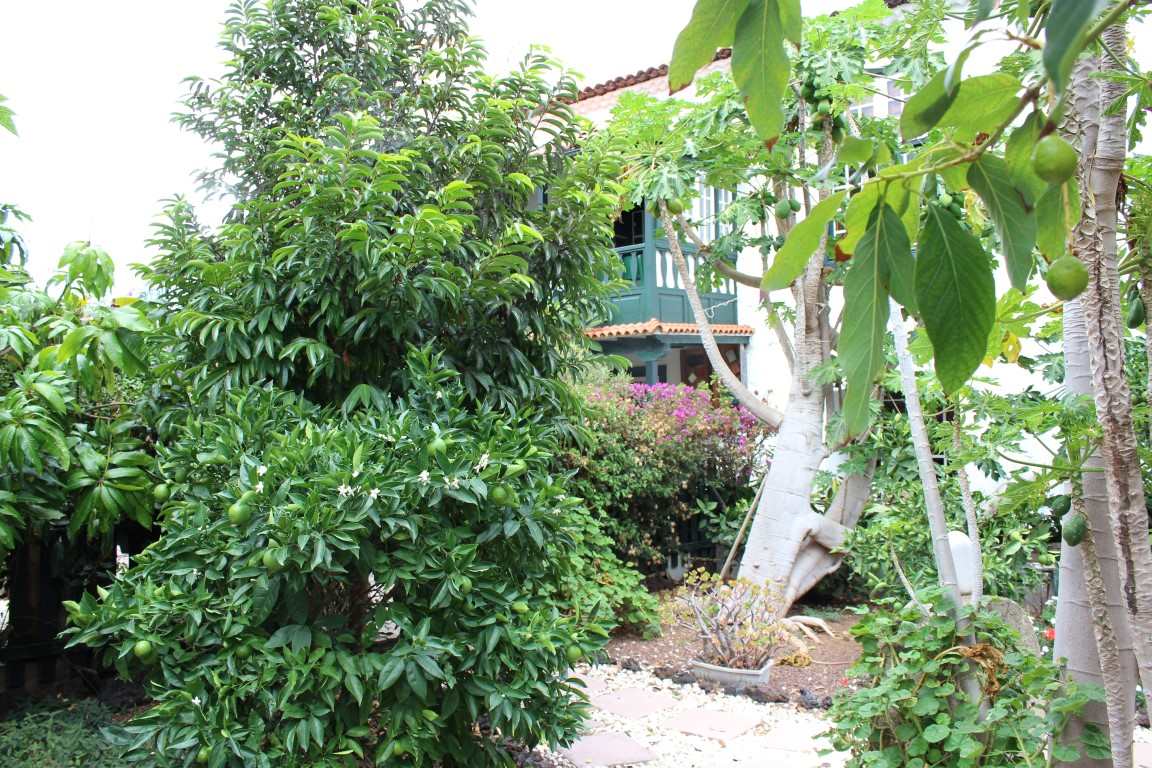 5 soverom Finca/Herregård til salgs i La Orotava med svømmebasseng garasje - € 3 500 000 (Ref: 3198744)