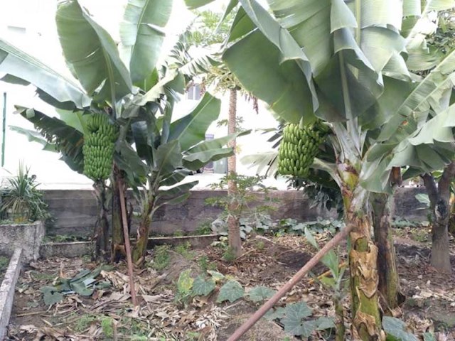 5 sovrum Hus till salu i Güímar med garage - 395 000 € (Ref: 3716010)