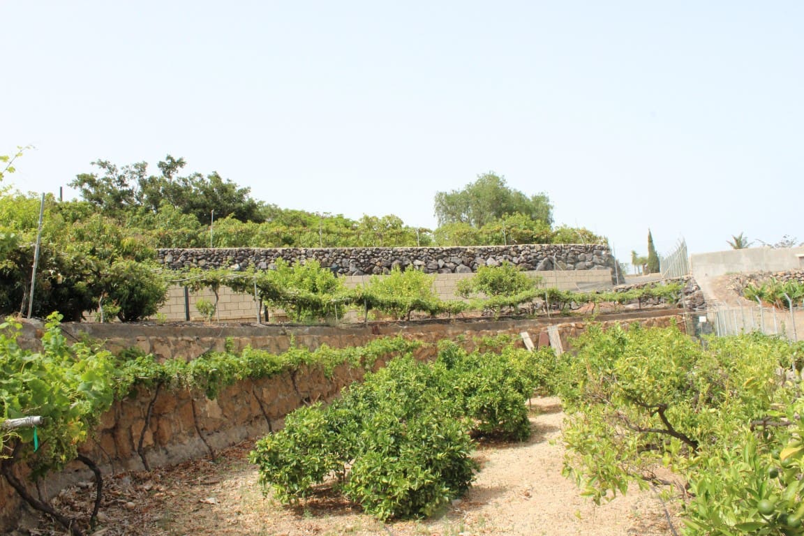 4 soveværelse Finca/Landehus til salg i Arafo med swimmingpool garage - € 850.000 (Ref: 4047202)