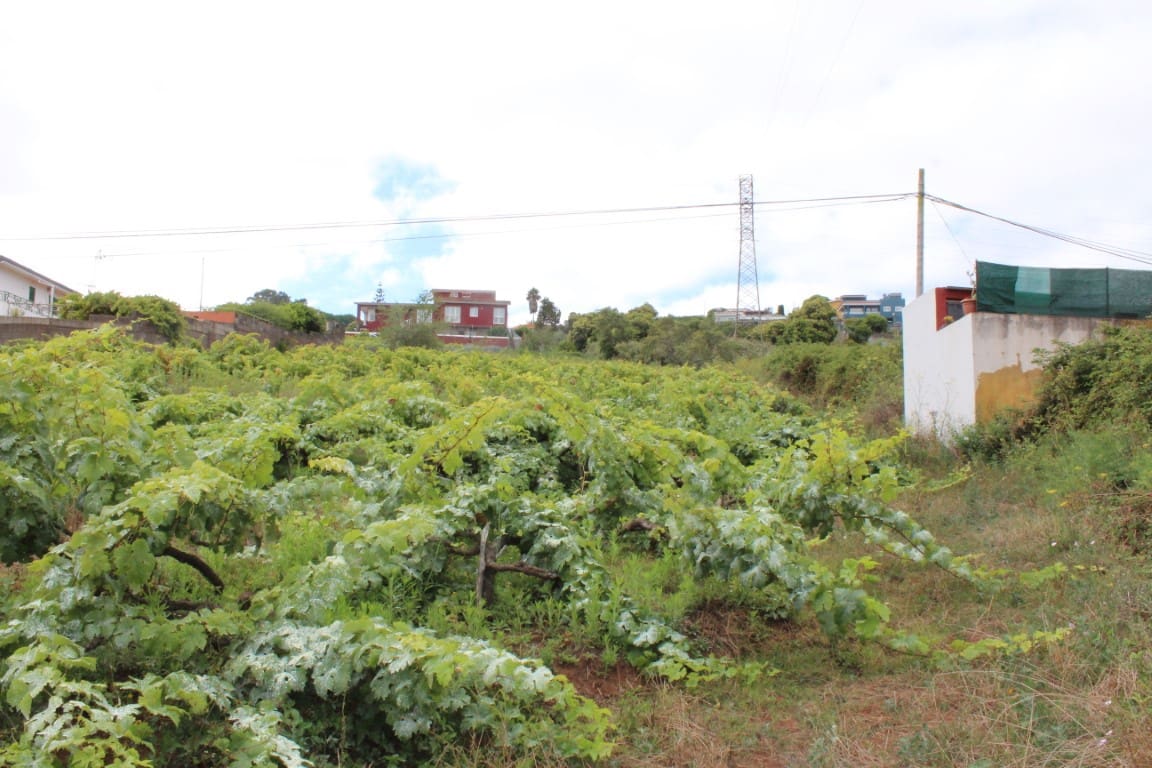 Terreno Não Urbanizado para venda em Agua Garcia - 300 000 € (Ref: 4706143)