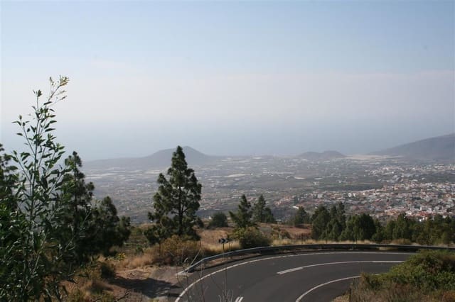Property For Sale In Arafo 30 Houses Apartments Property For Sale In Arafo 30 Houses Apartments
