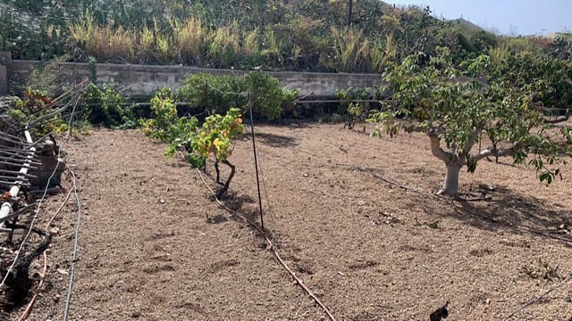 Grunde uden byggetilladelser til salg i Valle de San Lorenzo - € 160.000 (Ref: 6123046)