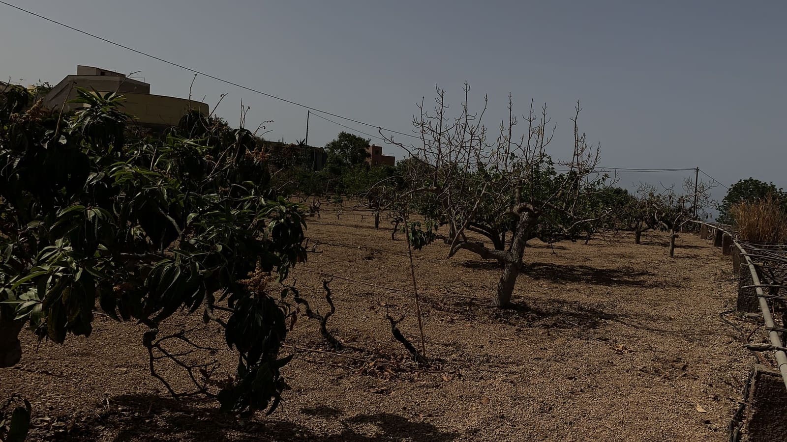 Grunde uden byggetilladelser til salg i Valle de San Lorenzo - € 160.000 (Ref: 6123046)