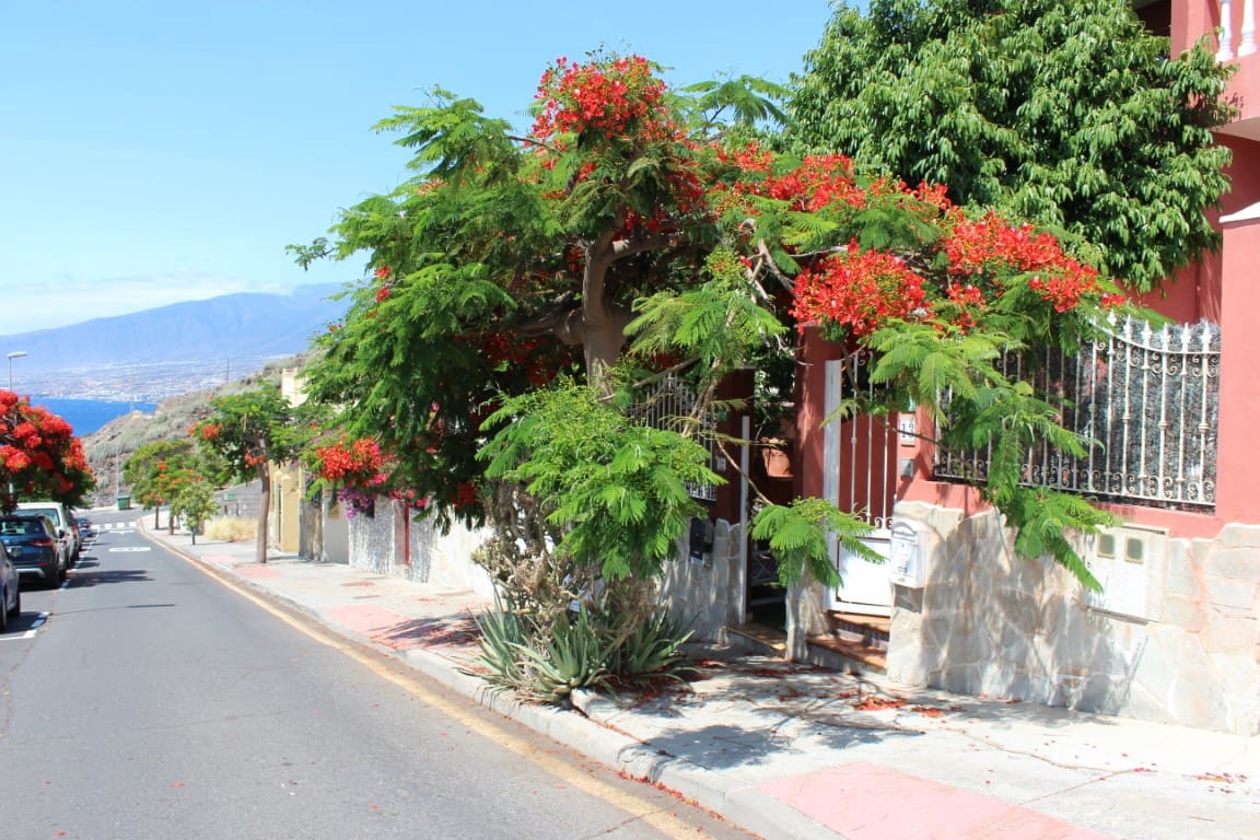 3 soveværelse Finca/Landehus til salg i El Rosario med garage - € 449.000 (Ref: 6280408)